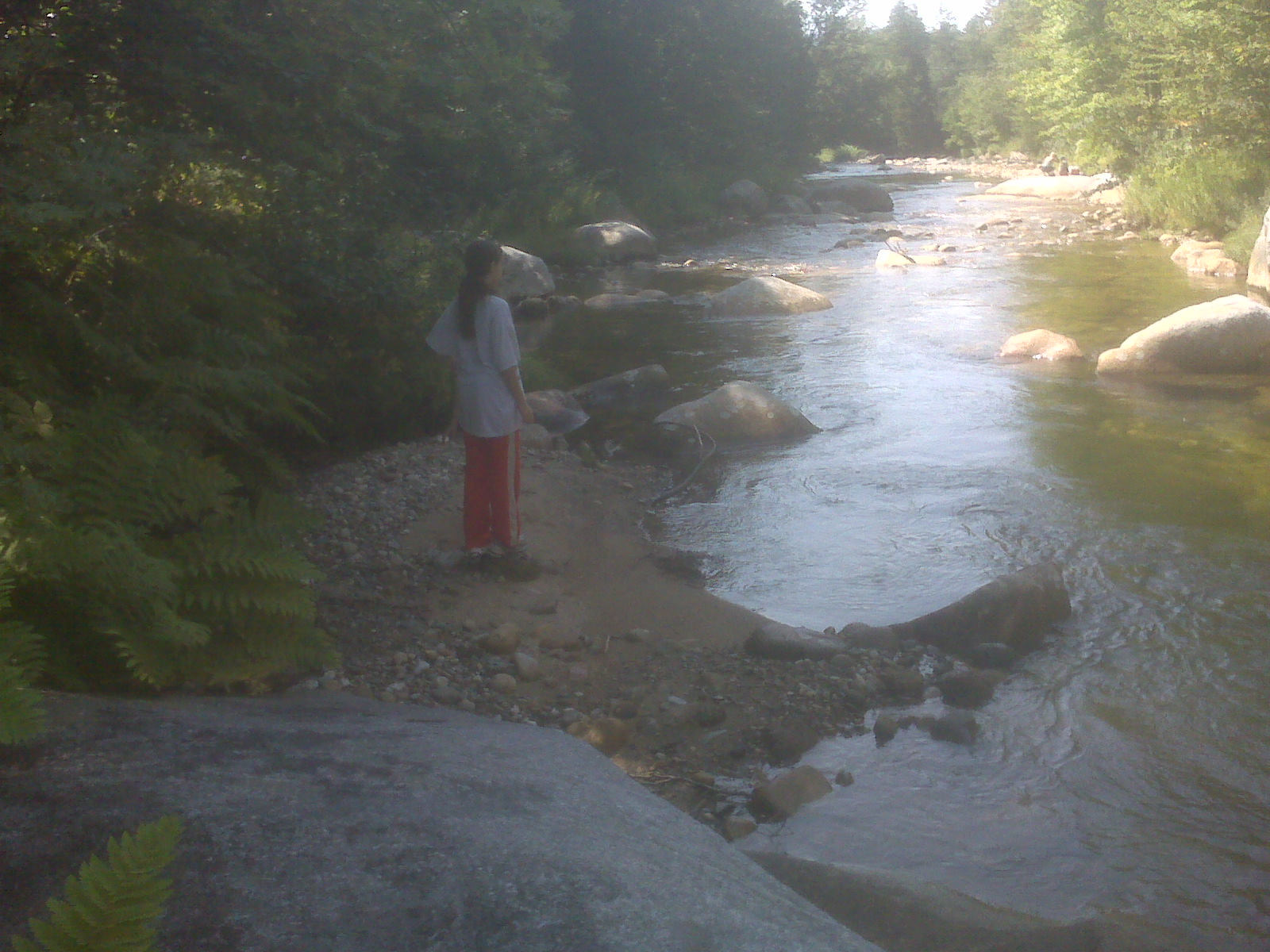 picture 6.